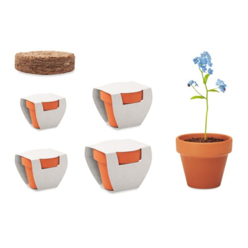 Terrakotta cserép (4 méretben) az Ön által választott maggal, egyedi csomagolásban.