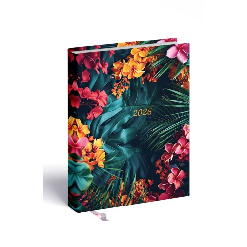 B/6 kétnapi 2-Day tropical