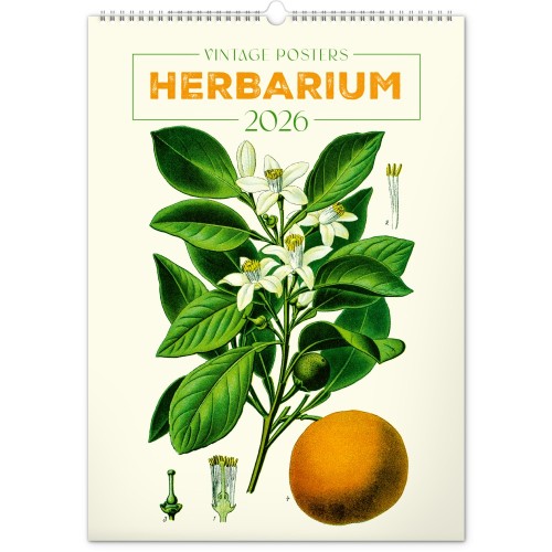 Falinaptár Vintage Posters ? Herbarium 2027, 33 × 46 cm