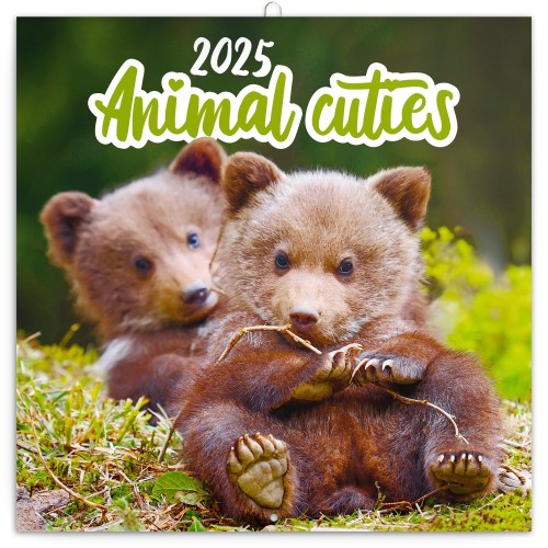 Lemeznaptár Animal Cuties 2027, 30 × 30 cm
