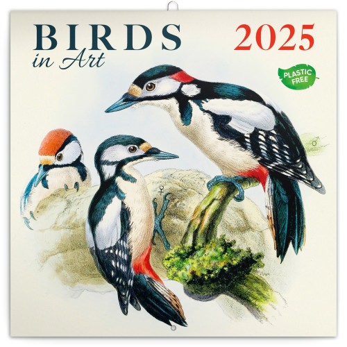 Lemeznaptár Birds in Art 2027, PLAstIC FREE, 30 x 30 cm