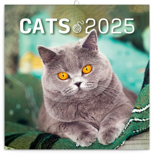 Lemeznaptár Cats 2027, 30 × 30 cm