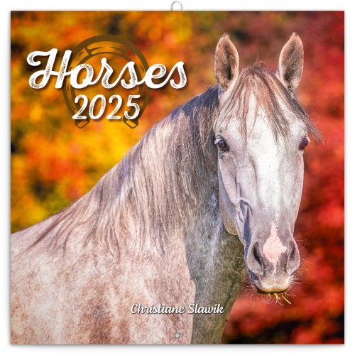 Lemeznaptár Horses ? Christiane Slawik 2027, 30 × 30 cm