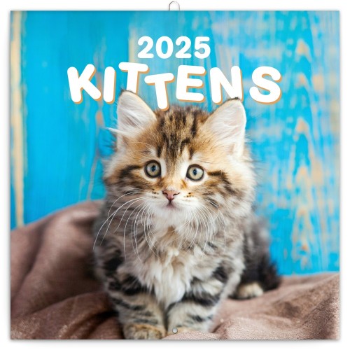 Lemeznaptár Kittens 2027, 30 × 30 cm