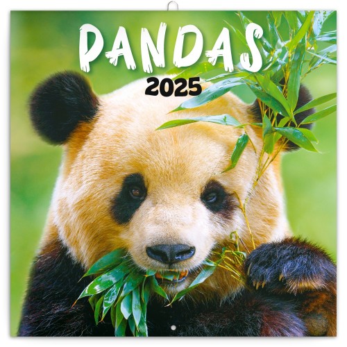 Lemeznaptár Pandas 2027, 30 × 30 cm