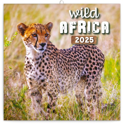 Lemeznaptár Wild Animals 2027, 30 × 30 cm